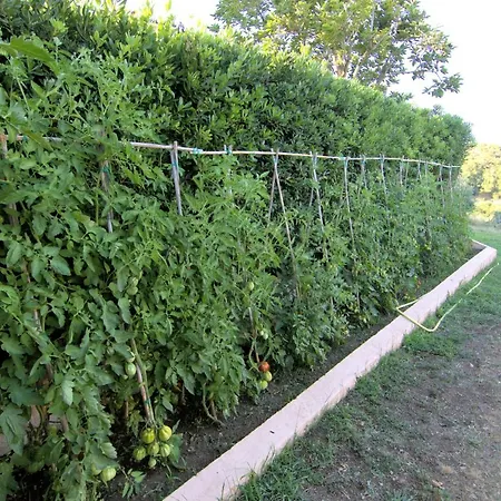 아파트호텔 Residenza La Limonaia 2*